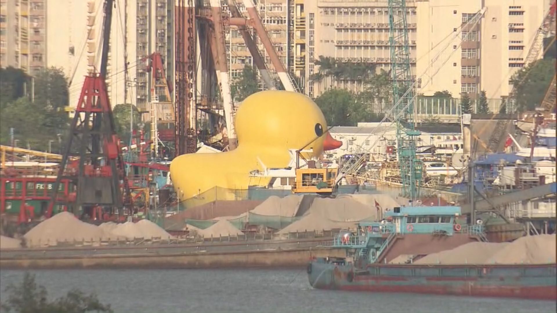 洩氣黃鴨一度「吹脹」 主辦方稱可再次在維港展出