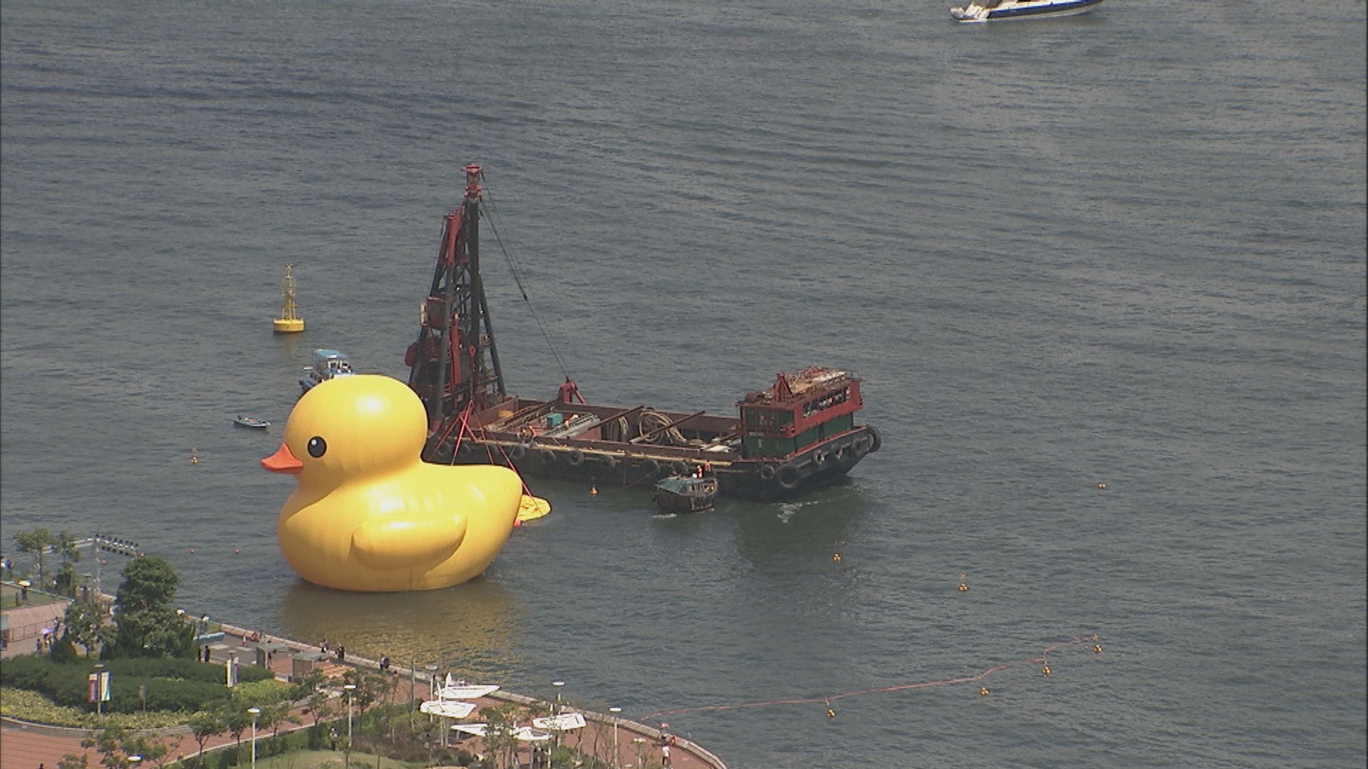 洩氣黃鴨運返維港 準備再次展出