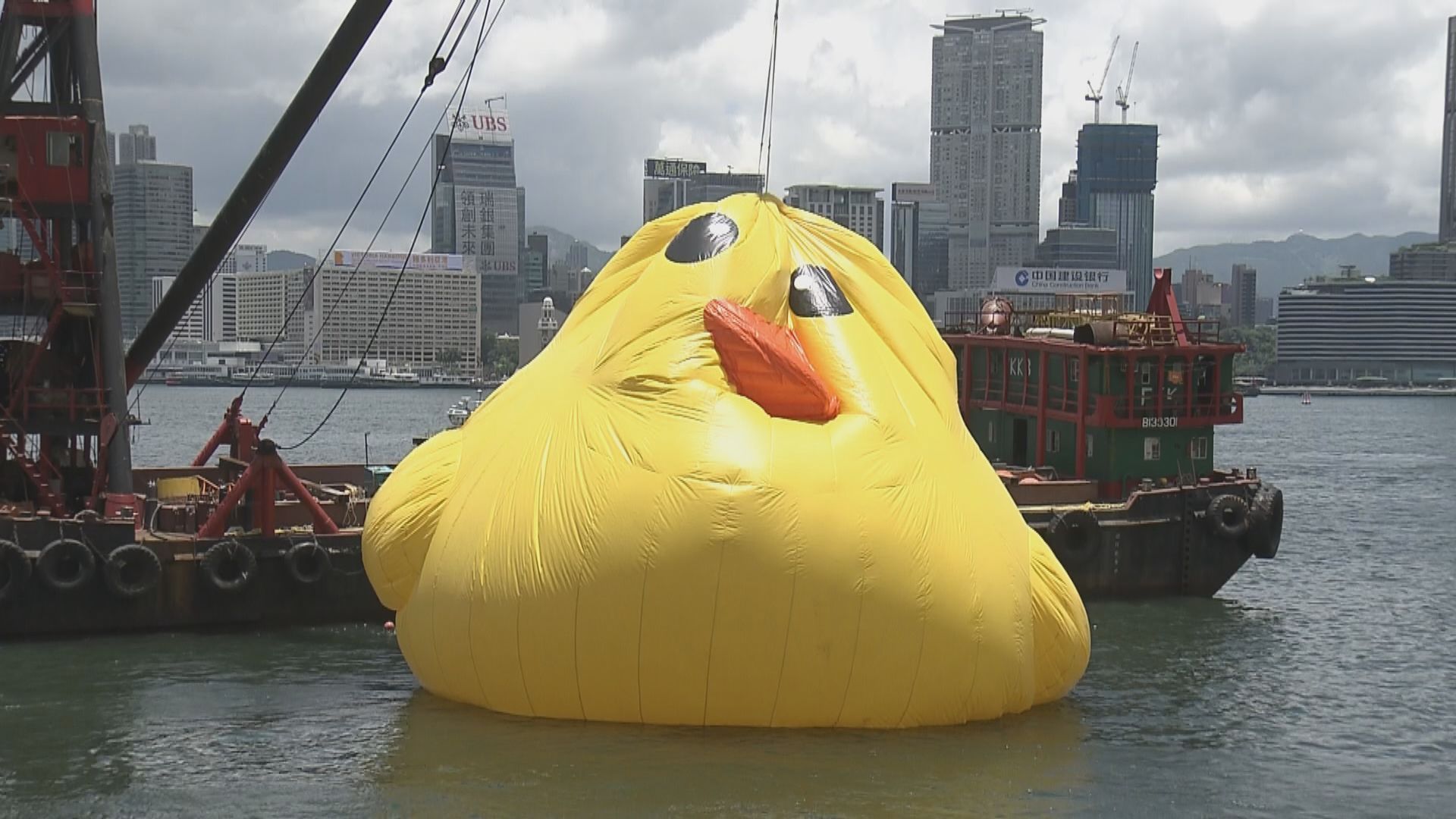 【直擊】洩氣黃鴨運返維港 準備再次展出