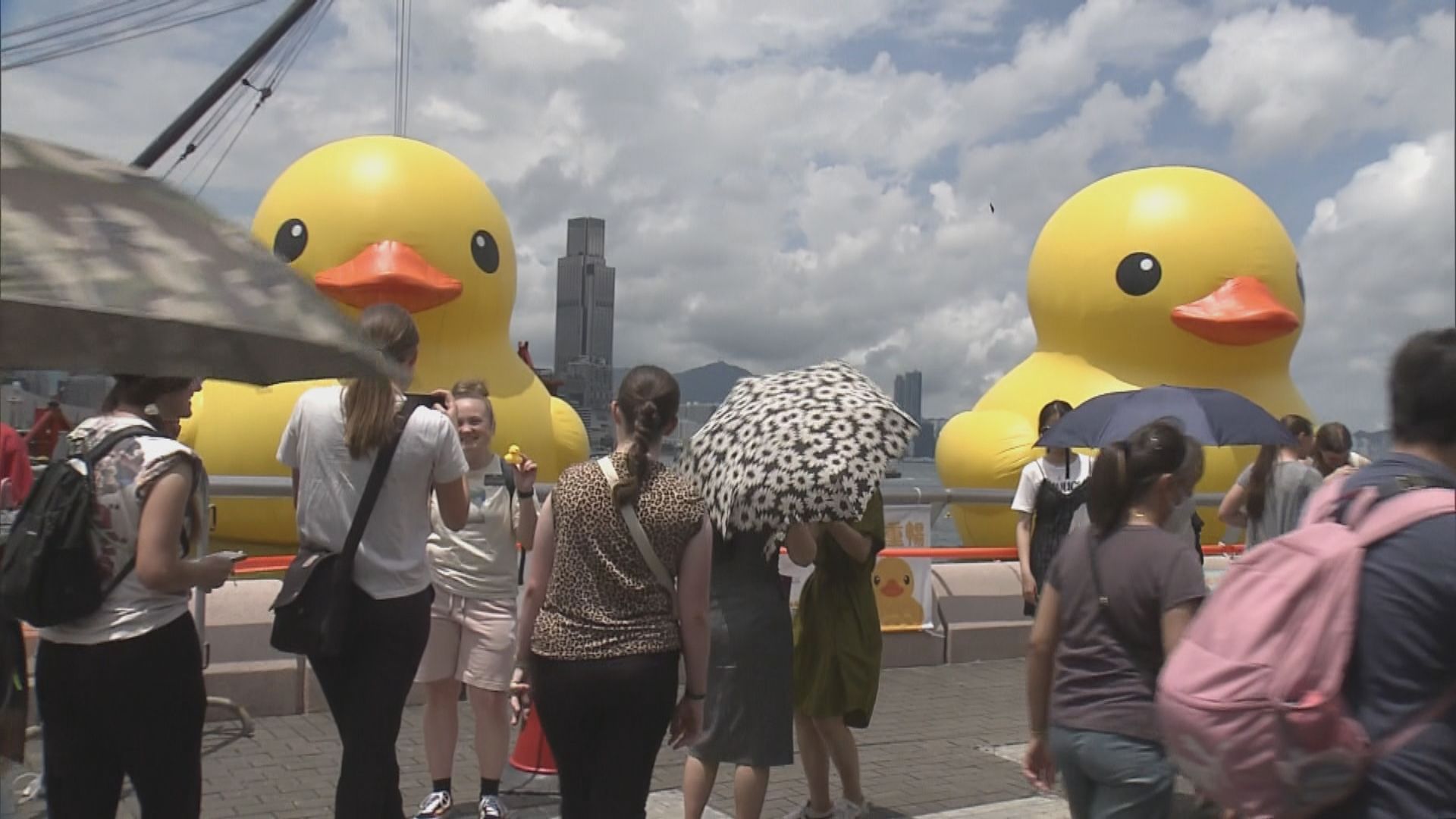洩氣黃鴨運返維港 完成充氣後重新展出