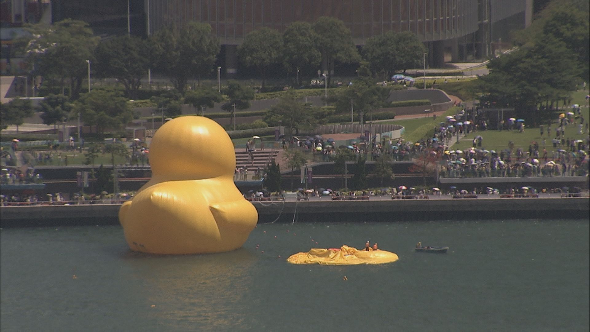 巨型黃鴨維港亮相首日 其中一隻即漏氣