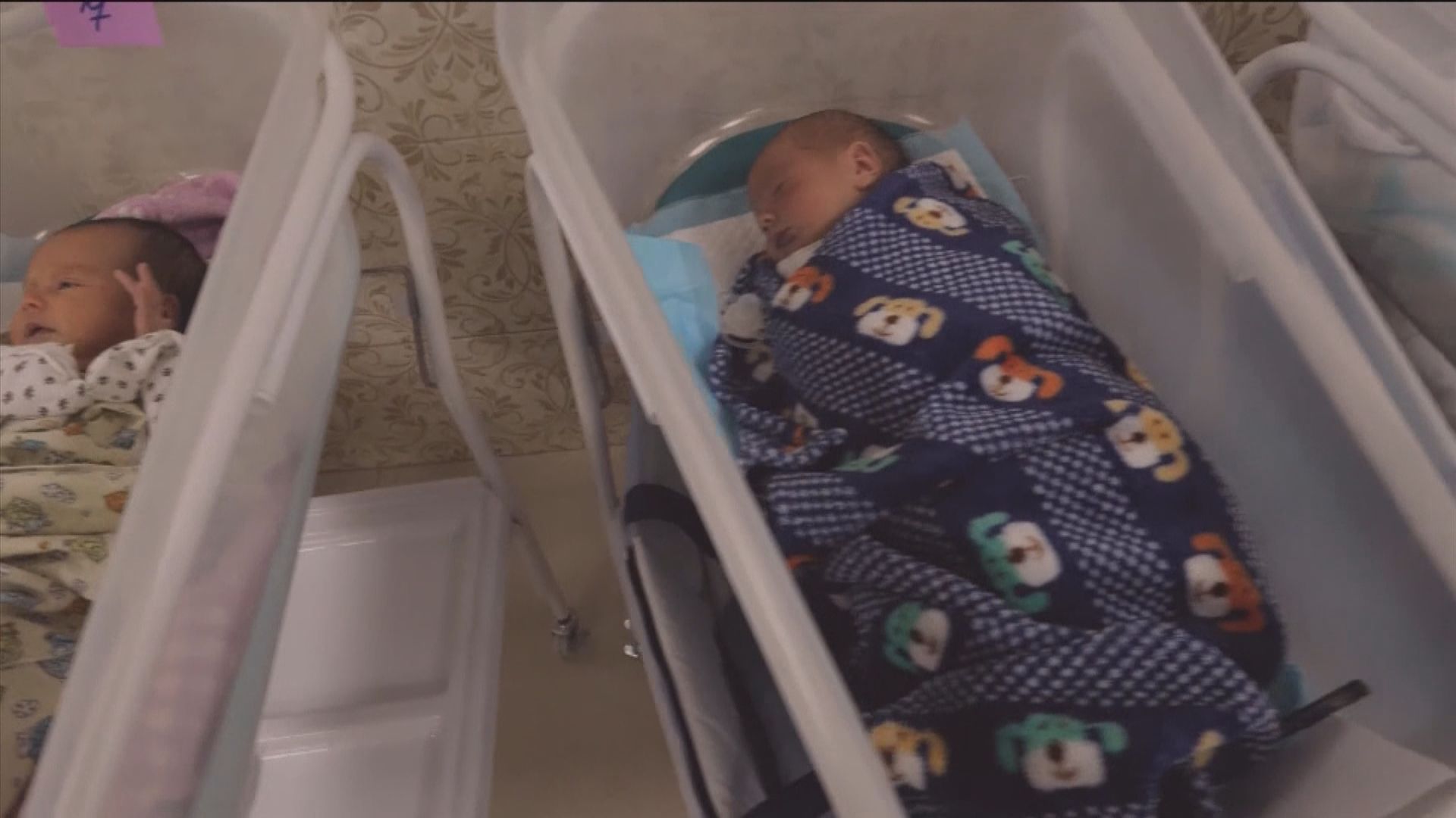 荷蘭男子捐精疑促成誕下逾550名孩子　遭法院禁止再捐