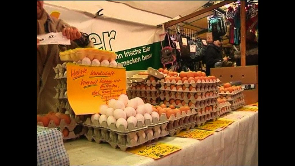 荷蘭毒雞蛋或已流入英法兩國