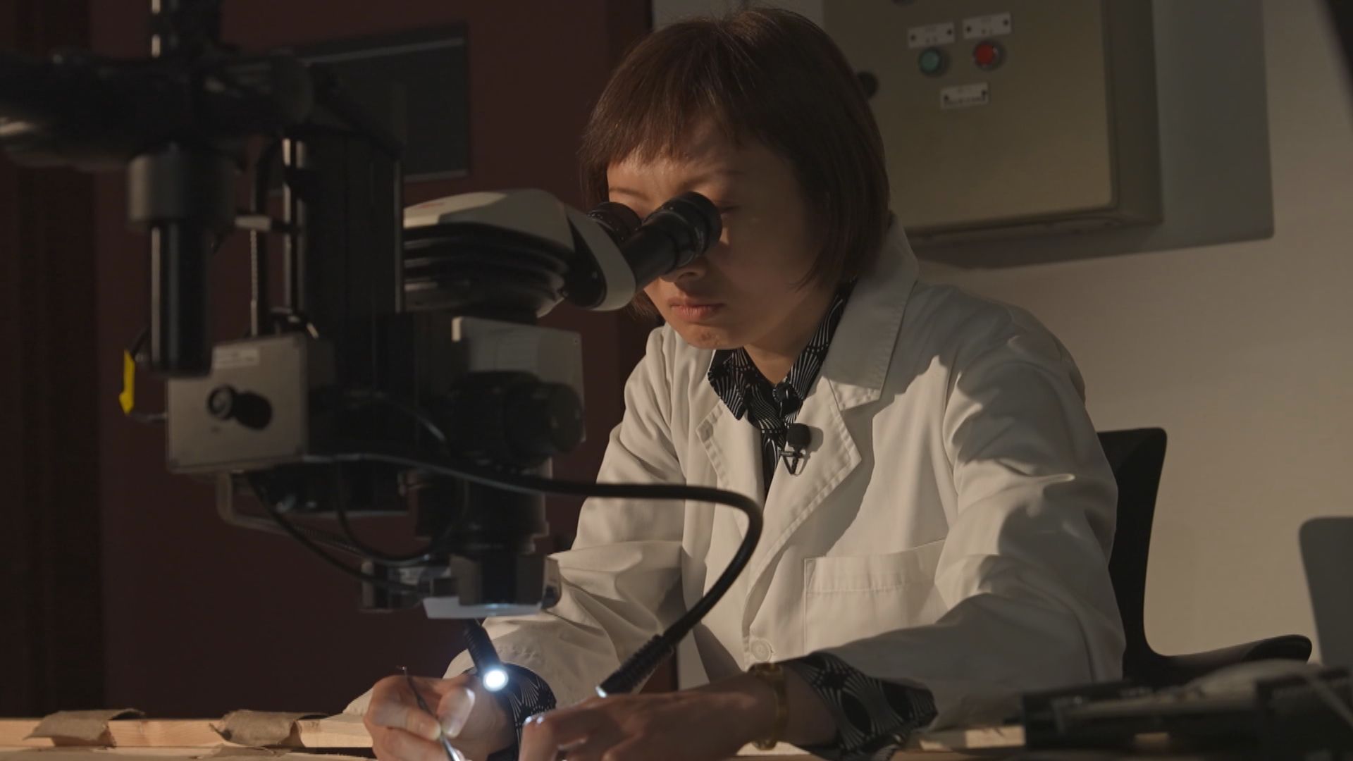 兩文三語 全城參與｜文物修復與考古