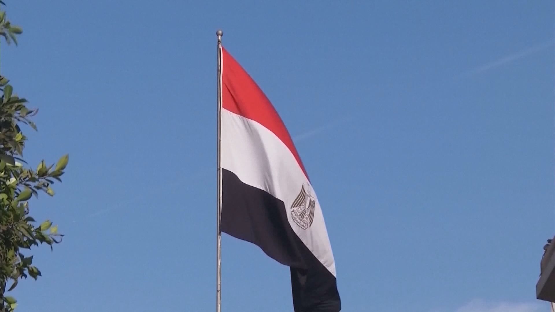 俄羅斯指埃及申請加入金磚國家