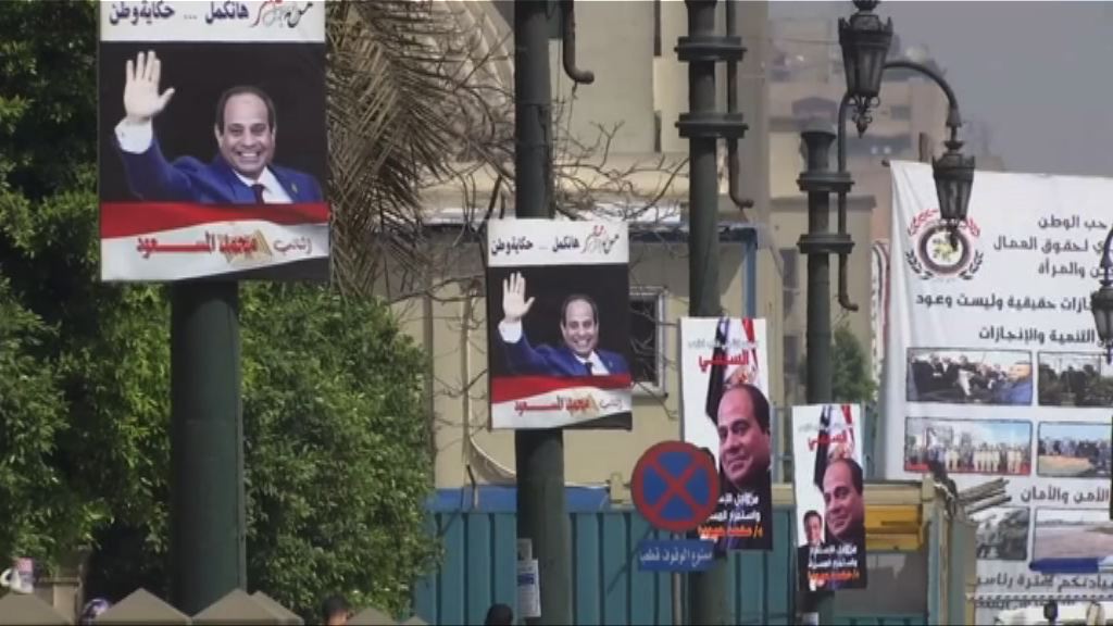 埃及總統選舉　分析料塞西連任無懸念