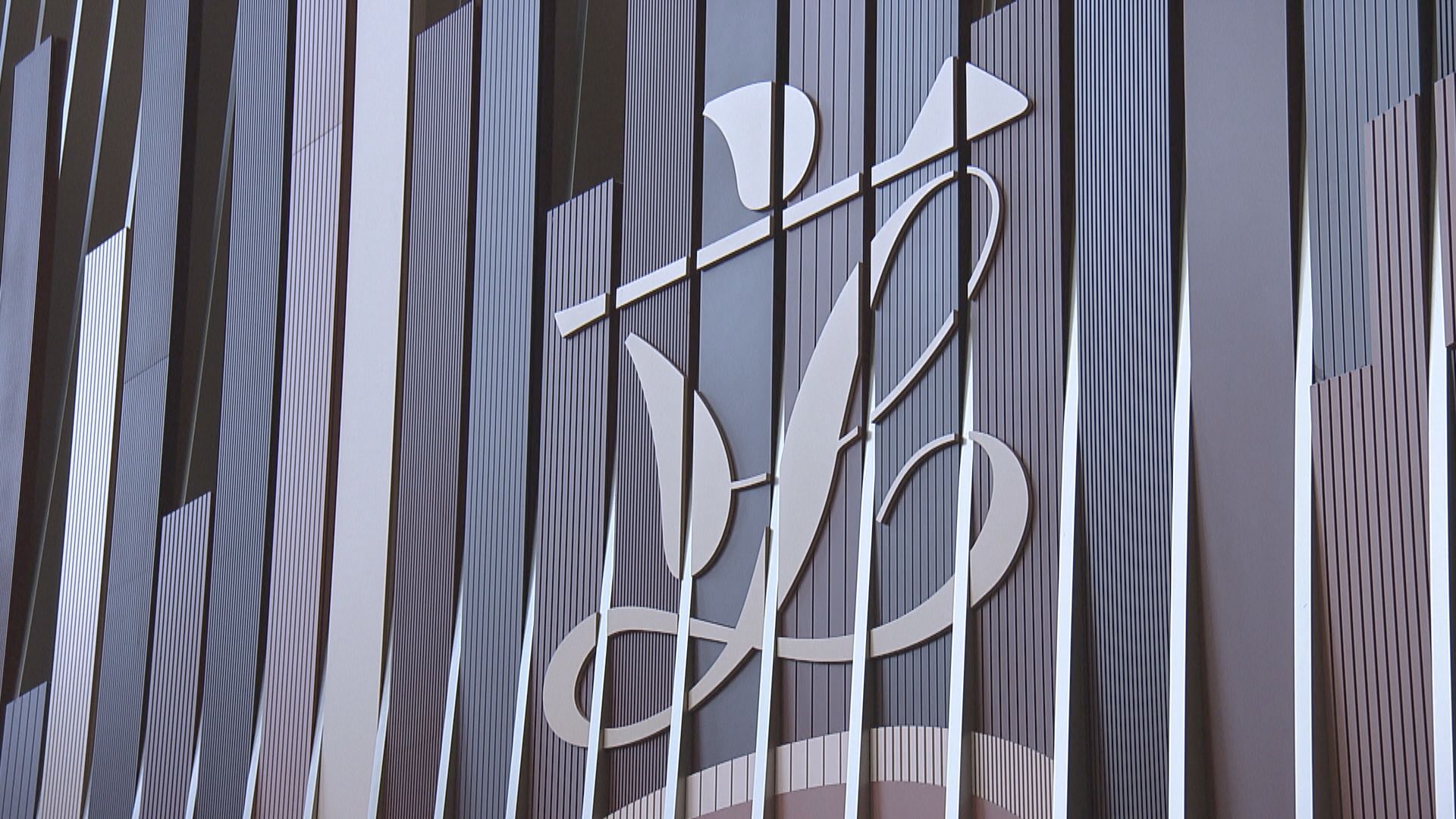 12月立法會補選　大灣區發展助理專員任選舉主任