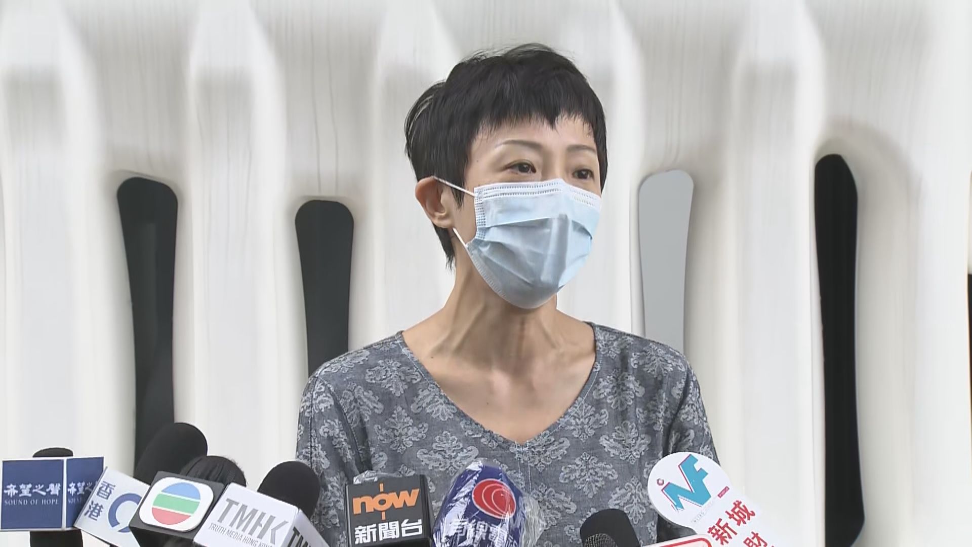 陳淑莊憂押後選舉令會議真空　去信政府要求清晰交代