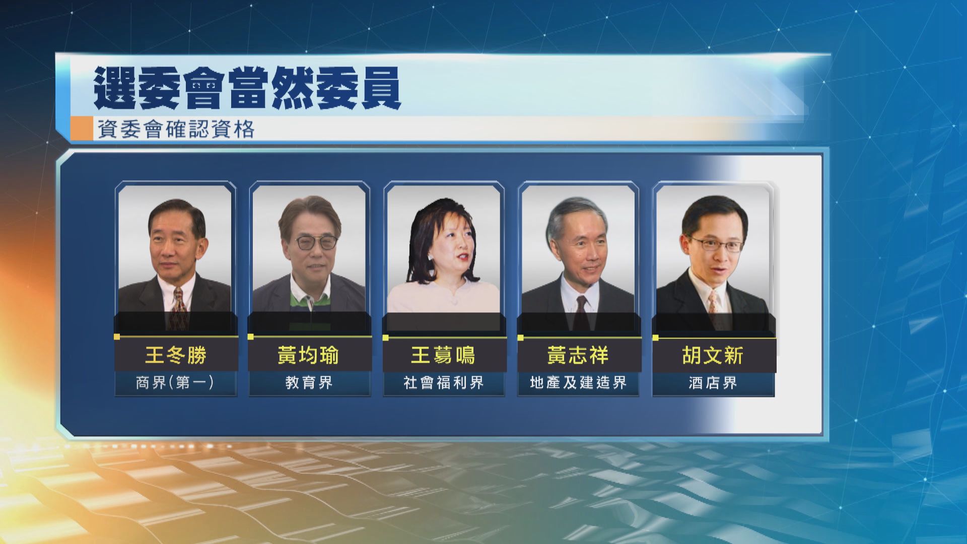 資委會裁定十五名選委會當然委員登記有效