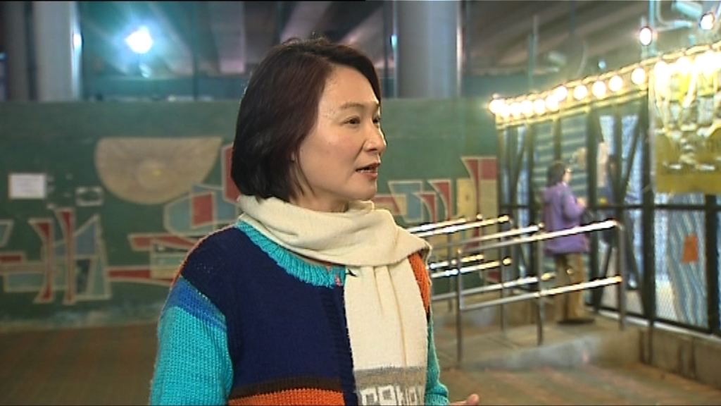 李慧琼承認建制派難有勝算