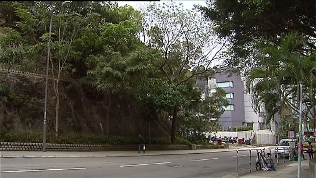 【港鐵項目】油塘通風樓暫收25份意向