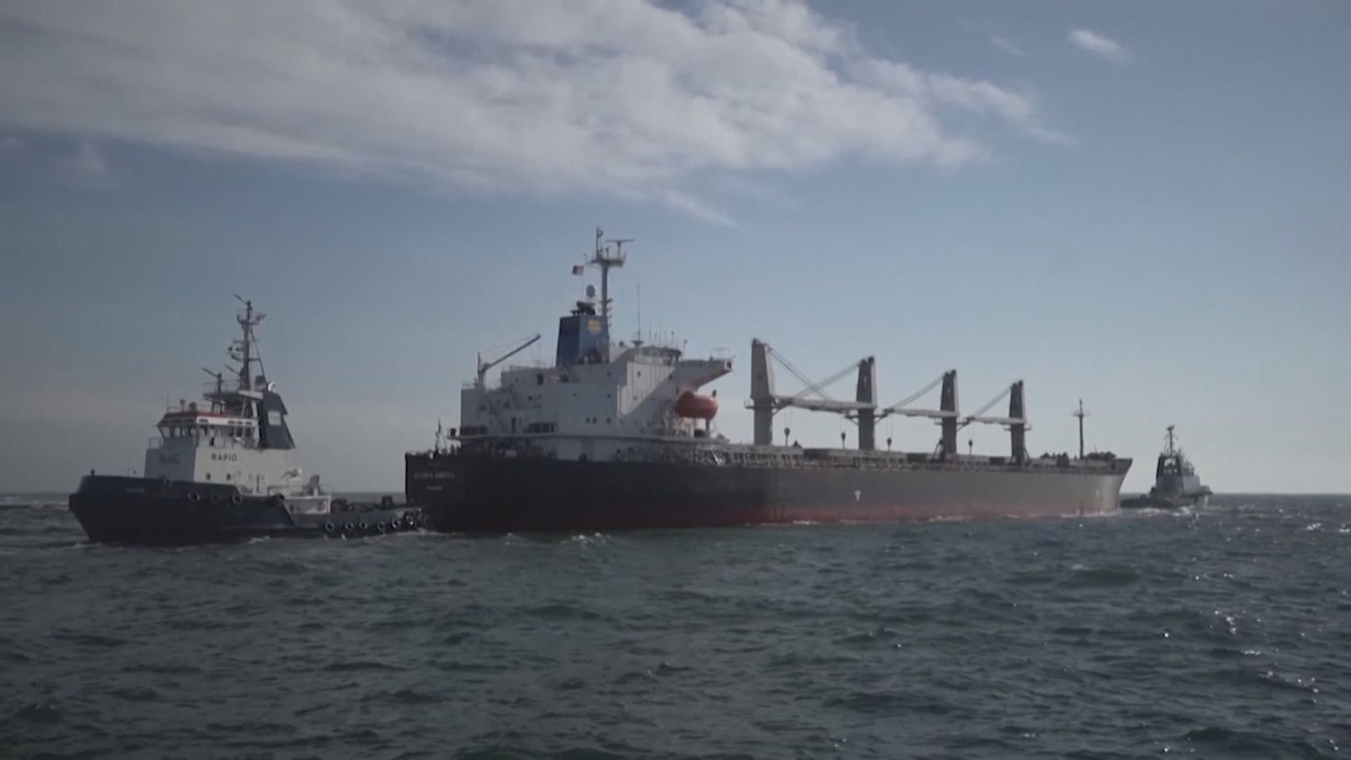 波蘭及匈牙利禁烏克蘭穀物食品入口　歐盟稱不能接受