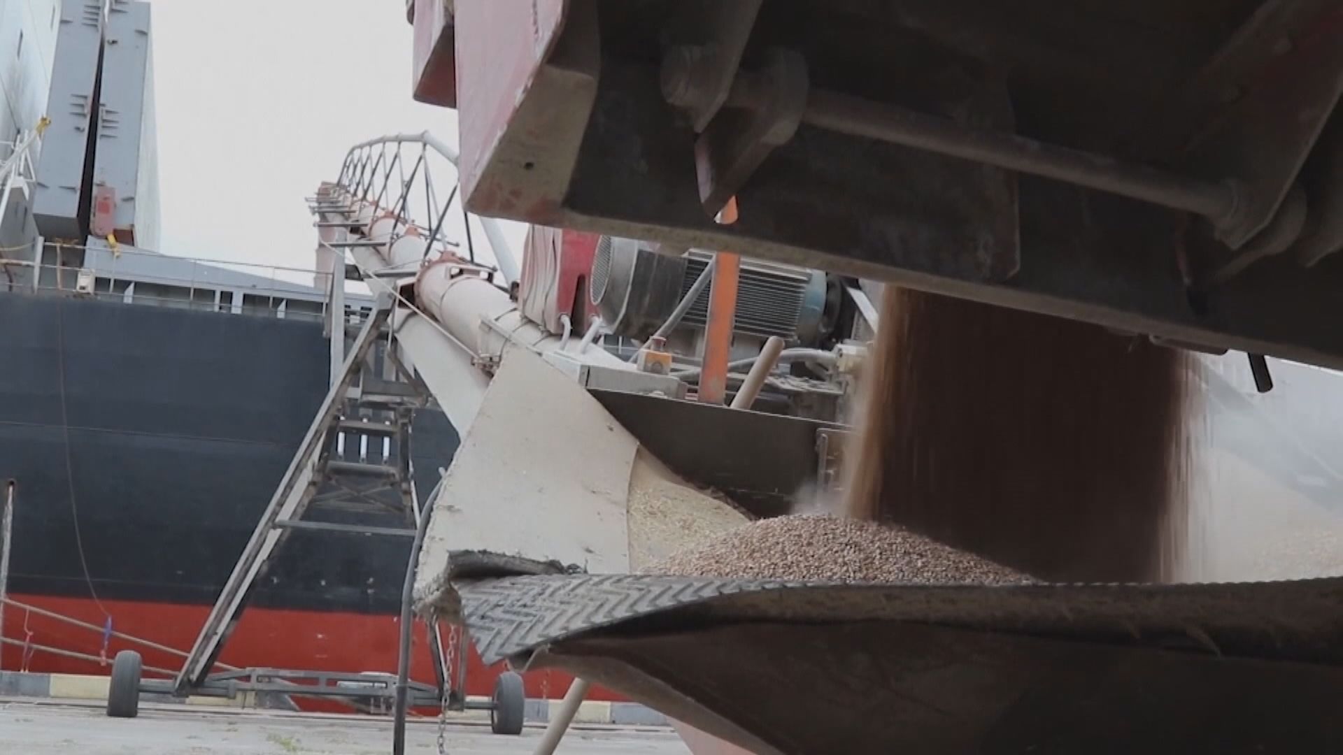 波蘭匈牙利禁烏克蘭穀物食品入口　歐盟指不接受成員國單方面貿易行動