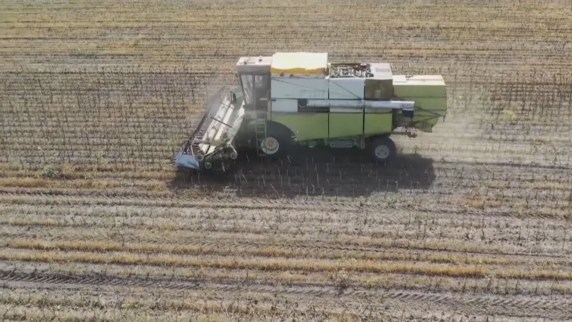 中歐五國要求歐盟延長烏克蘭糧食進口禁令至年底