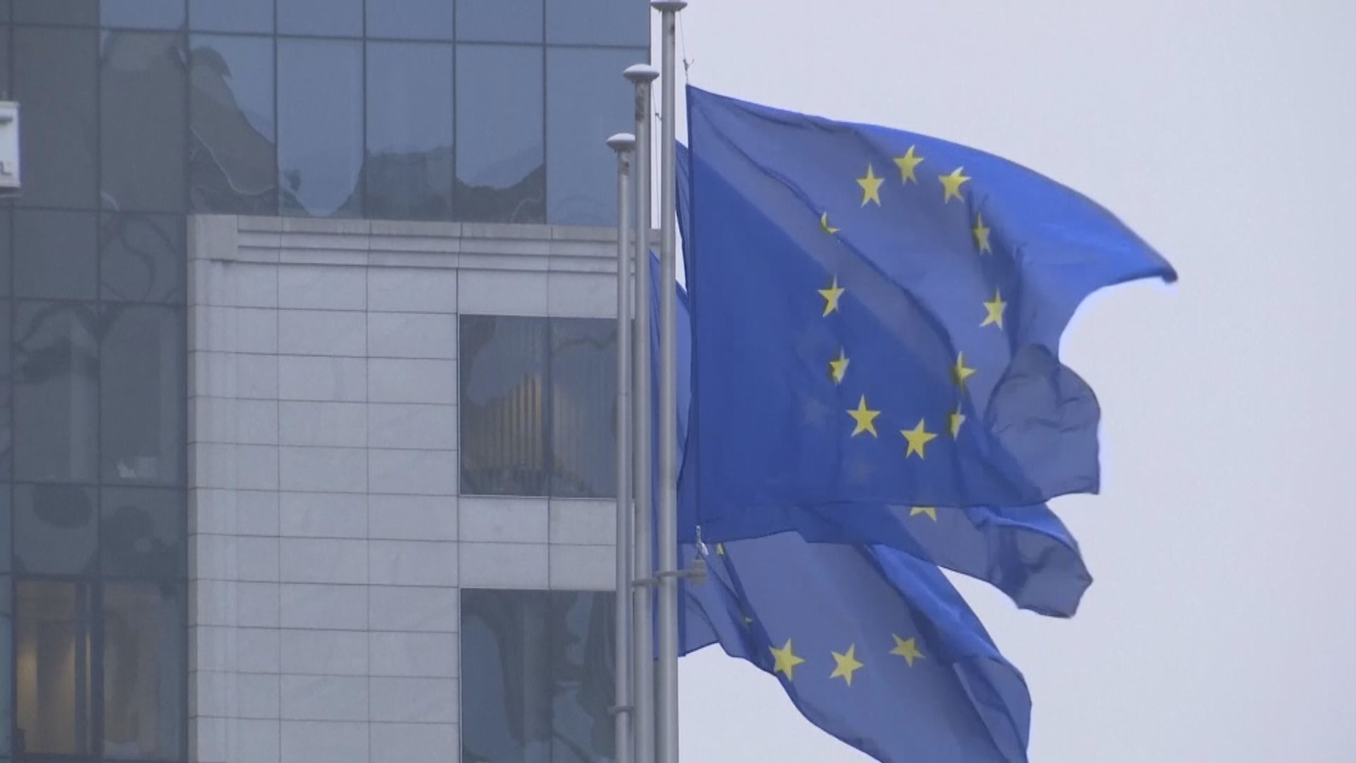 歐盟發言人：拘捕顯示香港不容多元聲音