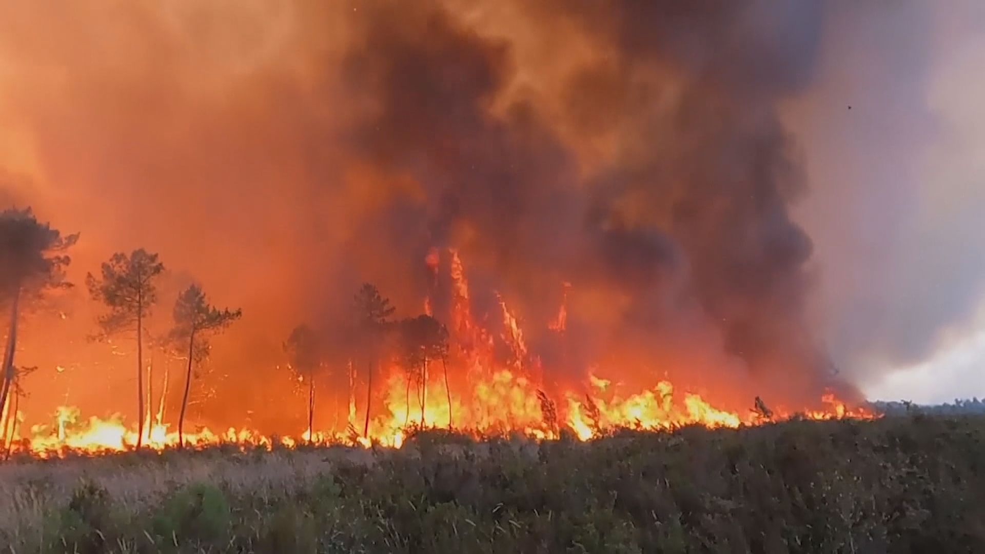 歐洲多國繼續受熱浪侵襲並引發山火
