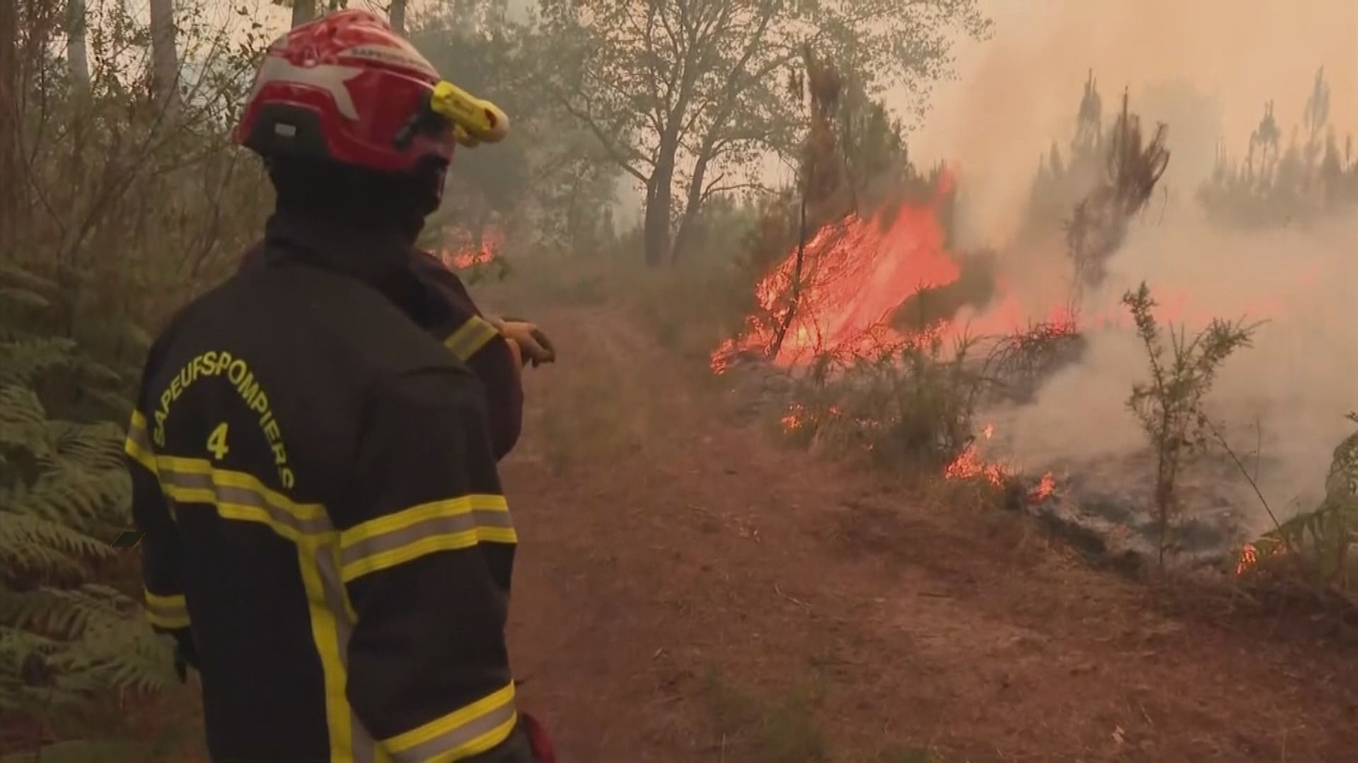 歐洲熱浪持續　英國錄得今年最高溫度