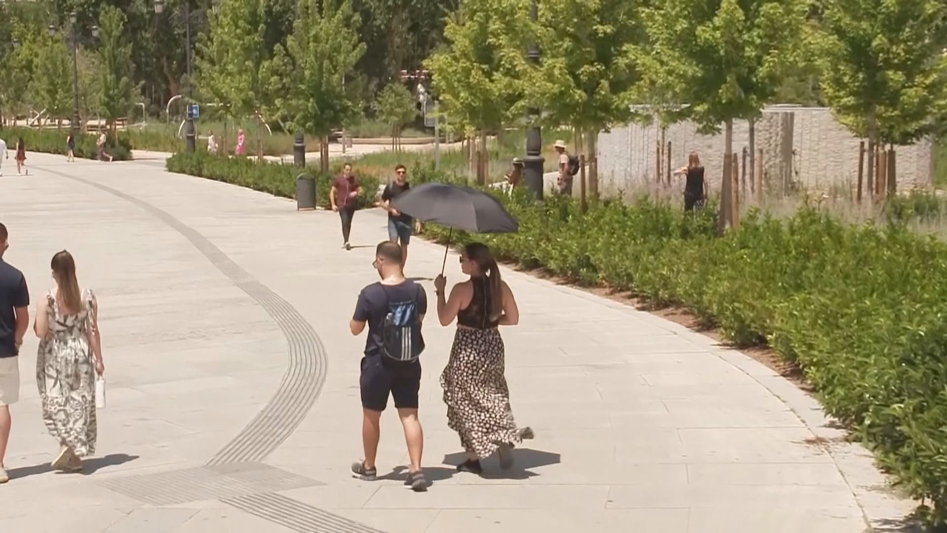 研究指歐洲去年夏季有逾61000人死於高溫