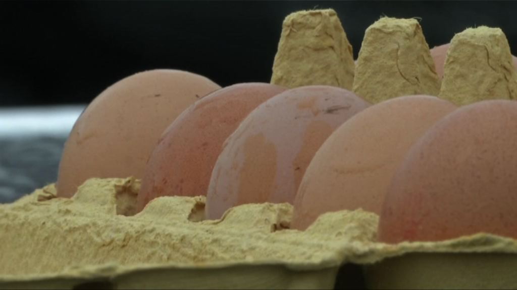 荷蘭拘兩男涉毒雞蛋事件