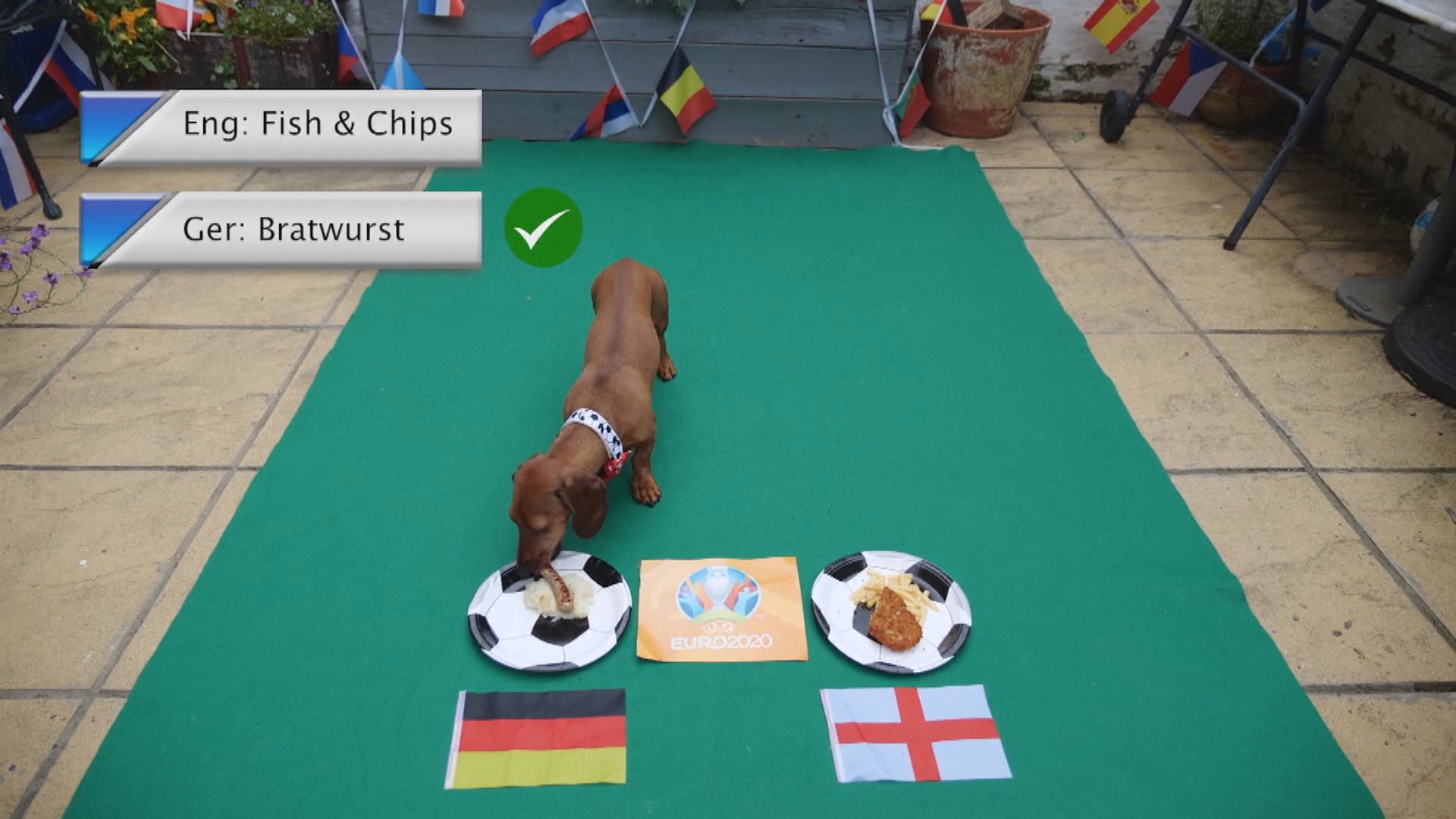 世界各地湧現保羅「接班人」預測歐國盃賽果