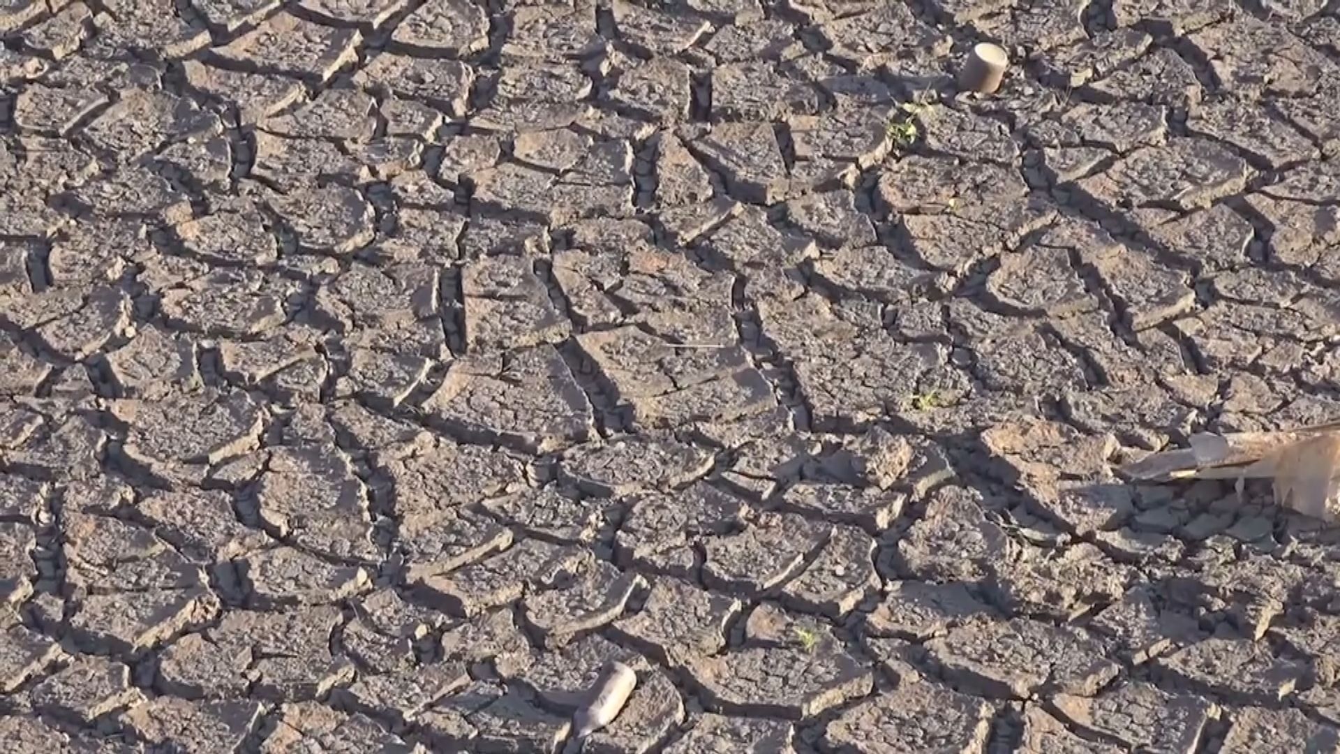 英格蘭部分地區進入乾旱狀態　用水將受更多限制