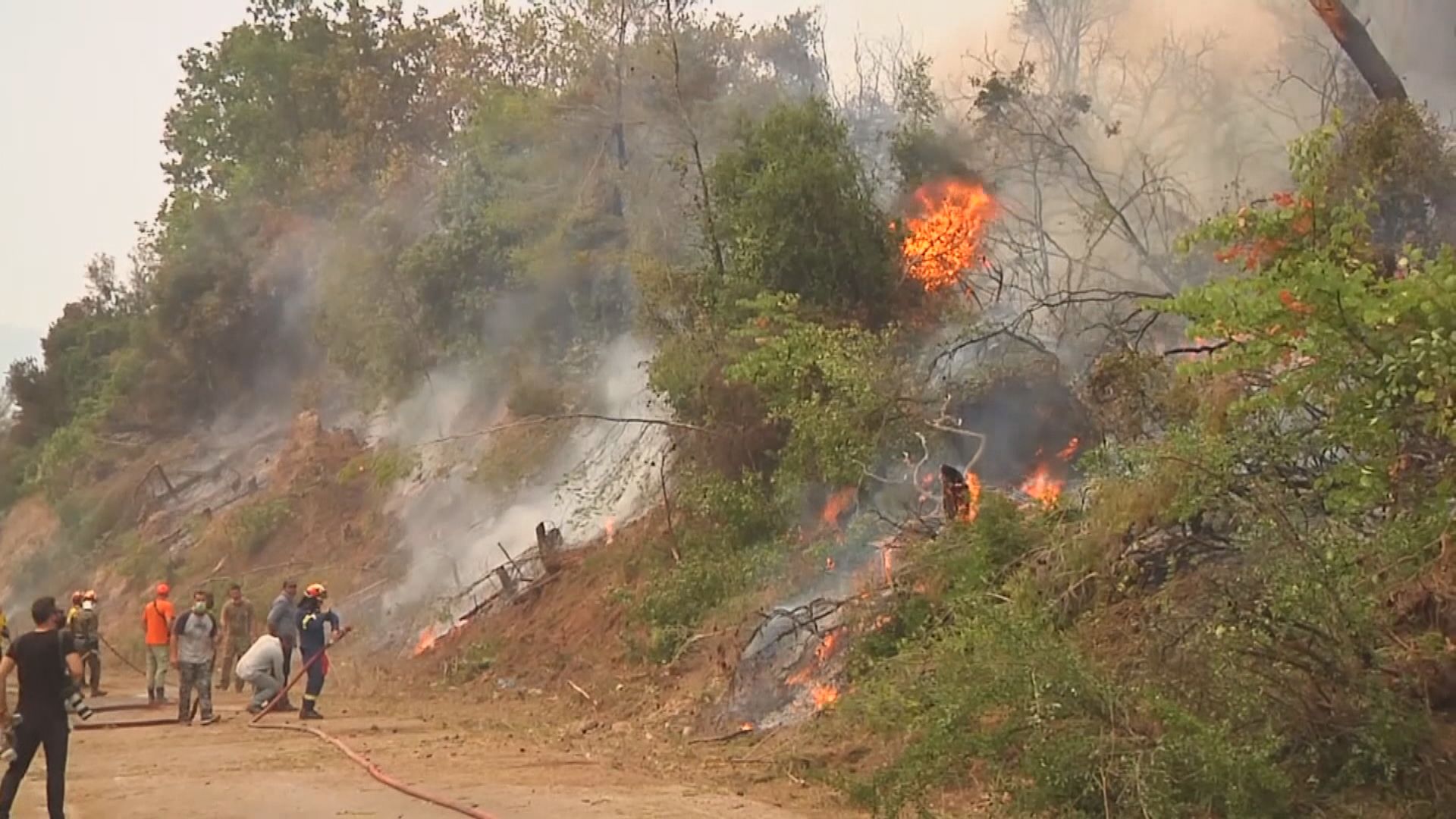 歐洲南部多個地方發生山火　包括意大利、土耳其等地