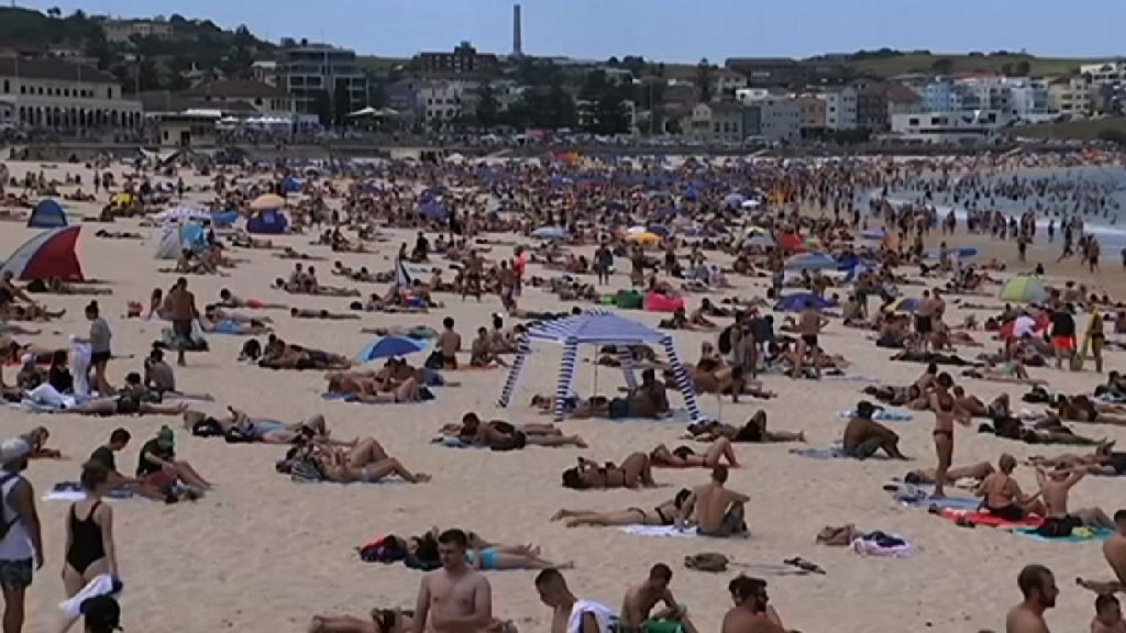 悉尼錄得近80年來最高溫