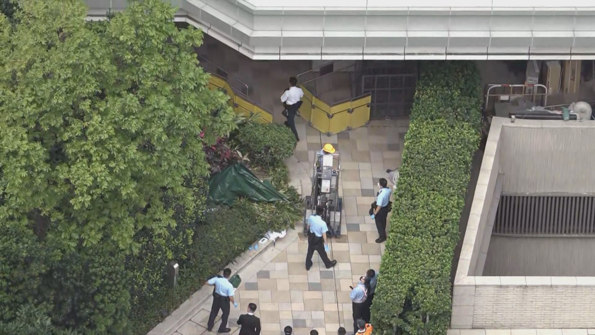 長沙灣母子墮樓亡列謀殺及自殺案