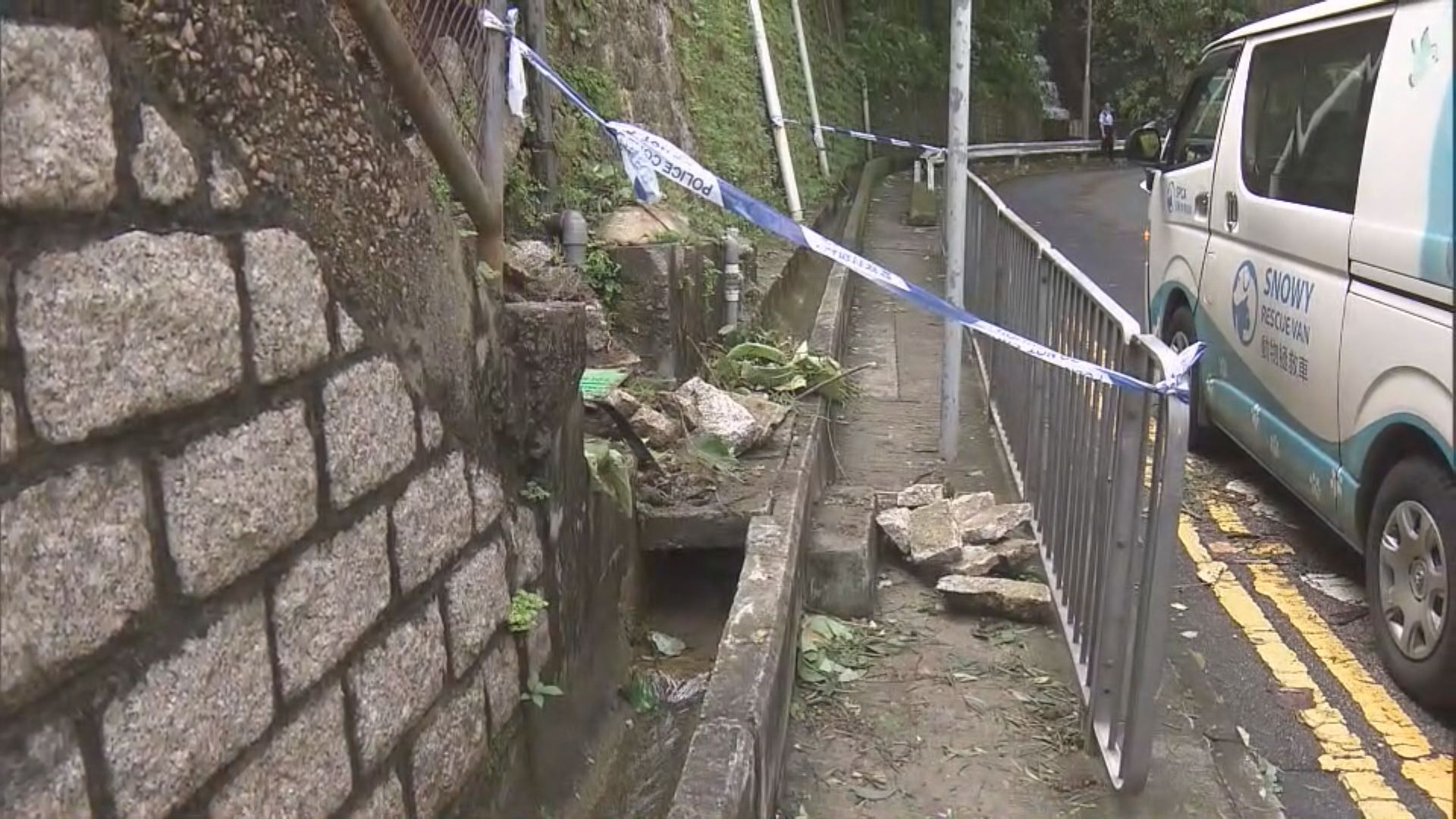 葵涌護土牆塌下 石磚擊中狗隻