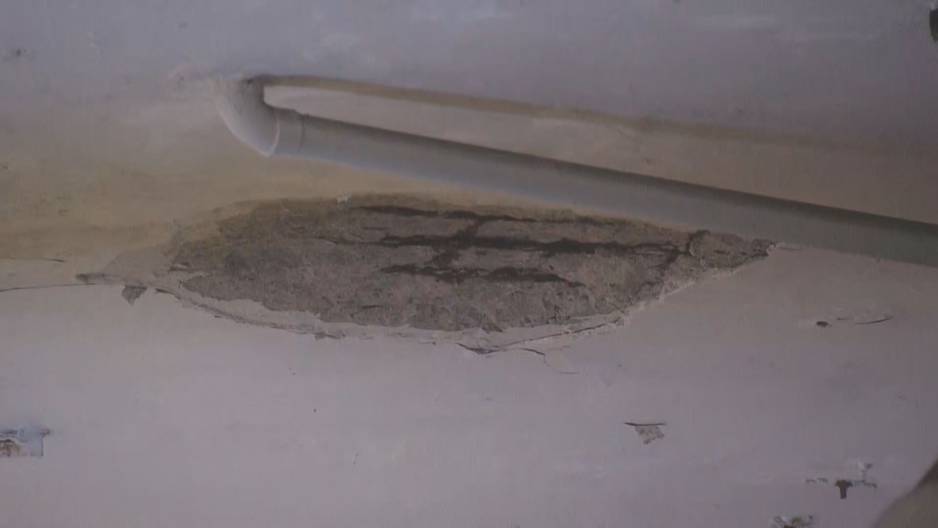 西灣河大廈石屎剝落擊傷男途人 屋宇署跟進事件