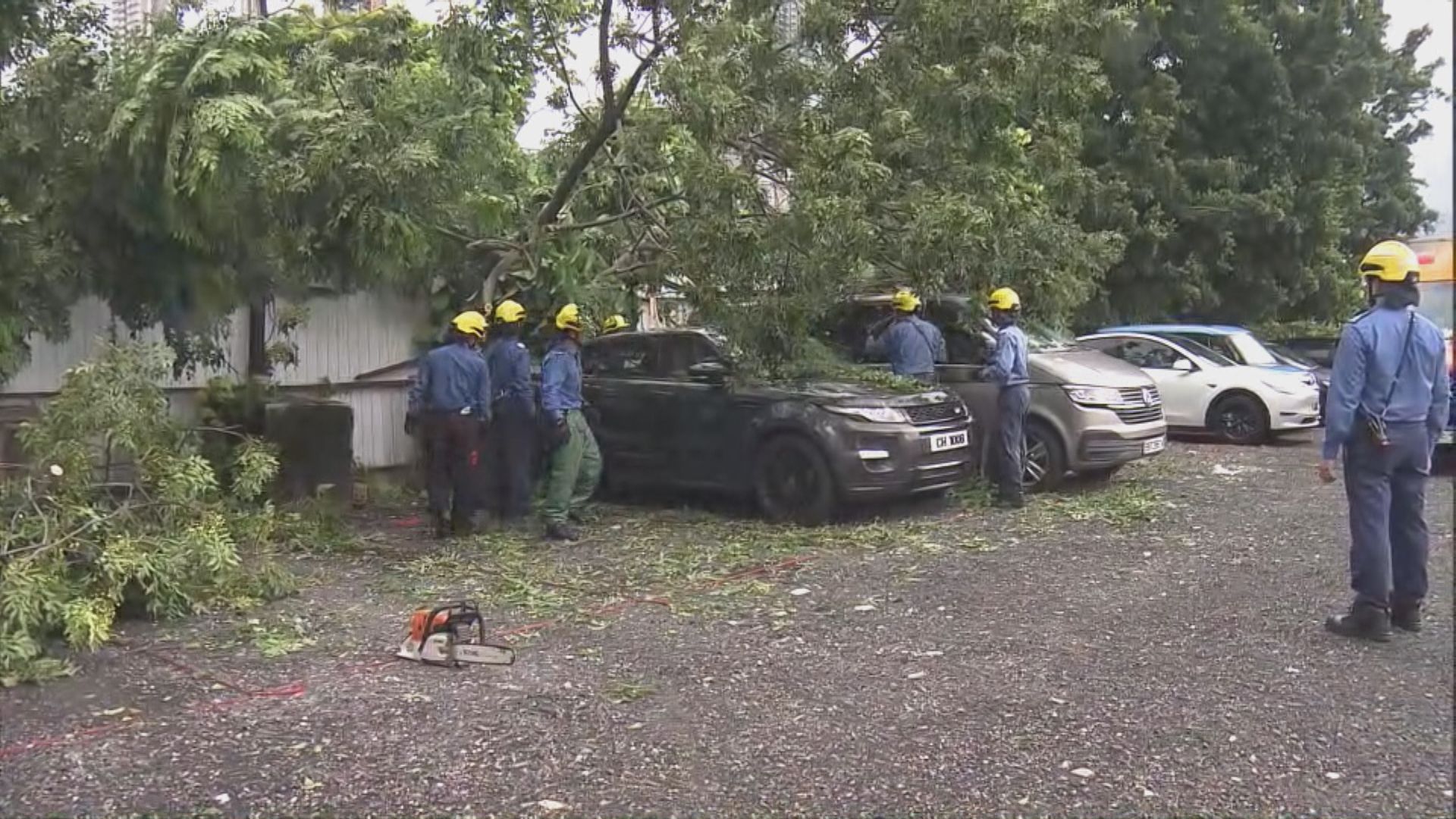 打風．塔巴襲港｜油塘露天停車場塌樹　5車受損無人傷