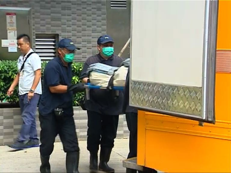 屯門龍逸邨兩母子墮樓列自殺案