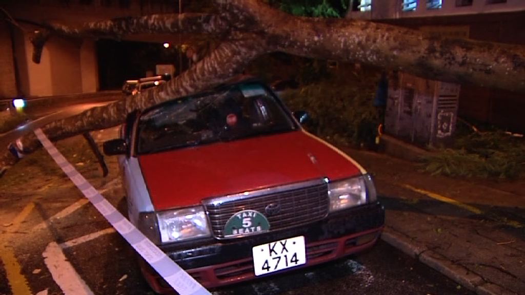 西貢大樹塌下壓毀的士無人傷