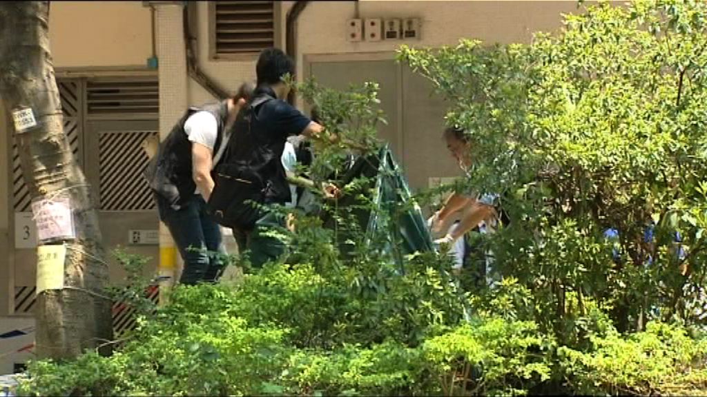 女子疑斬傷丈夫墮樓亡　消息：二人已離婚仍同住