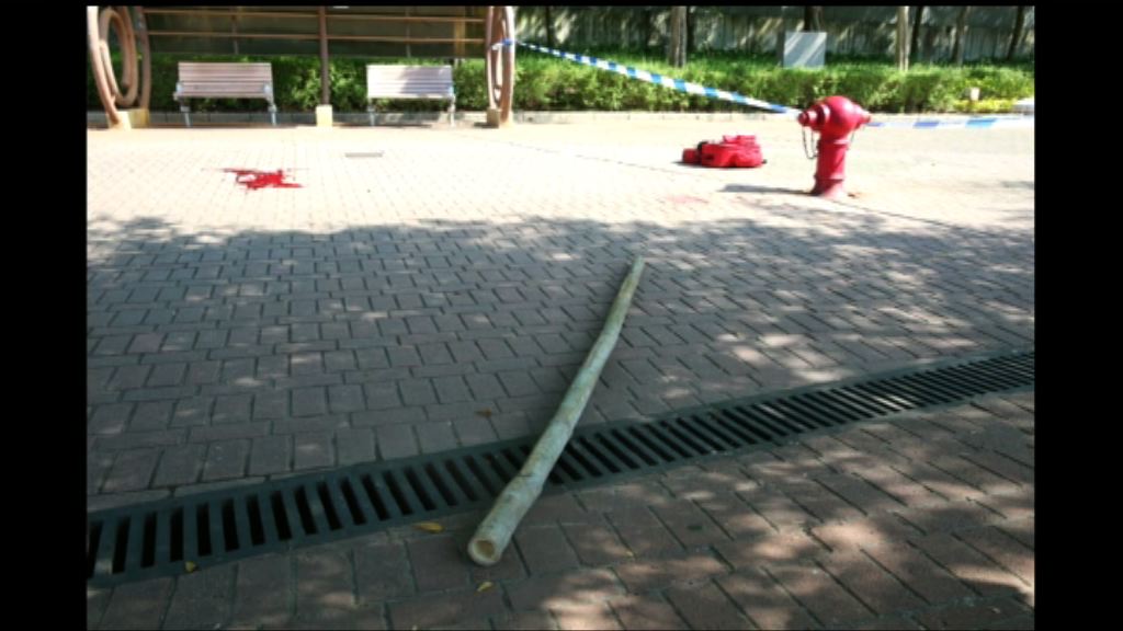 荃灣地盤墮竹枝擊斃途人