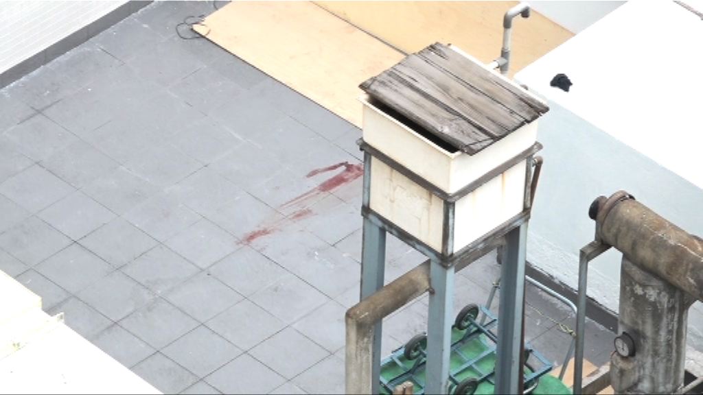 女童油麻地墮樓亡外籍母親被捕