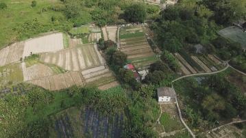 漁農業發展藍圖出爐 設都市農場及漁業保護區等提振產量