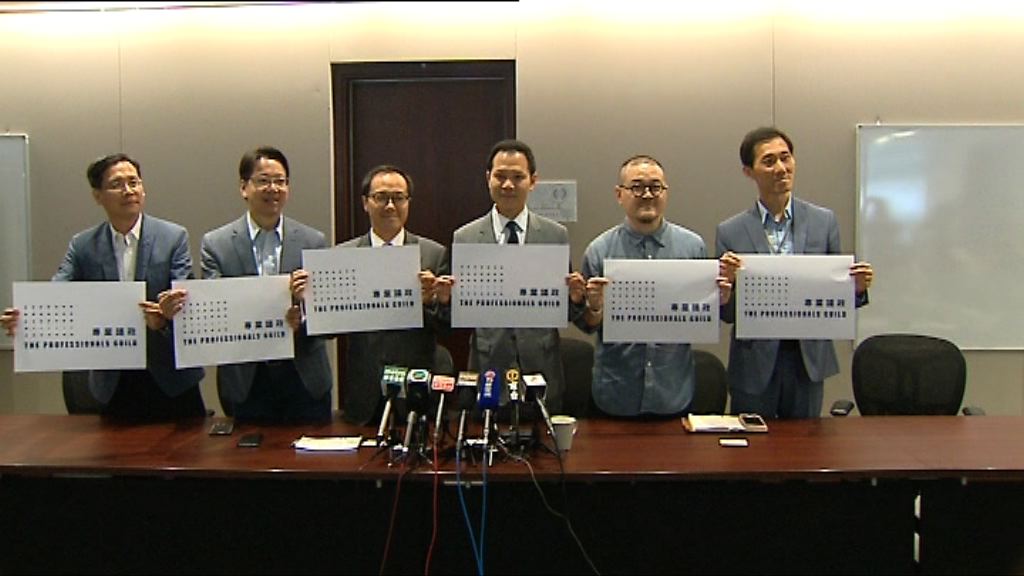 六功能界別泛民組「專業議政」