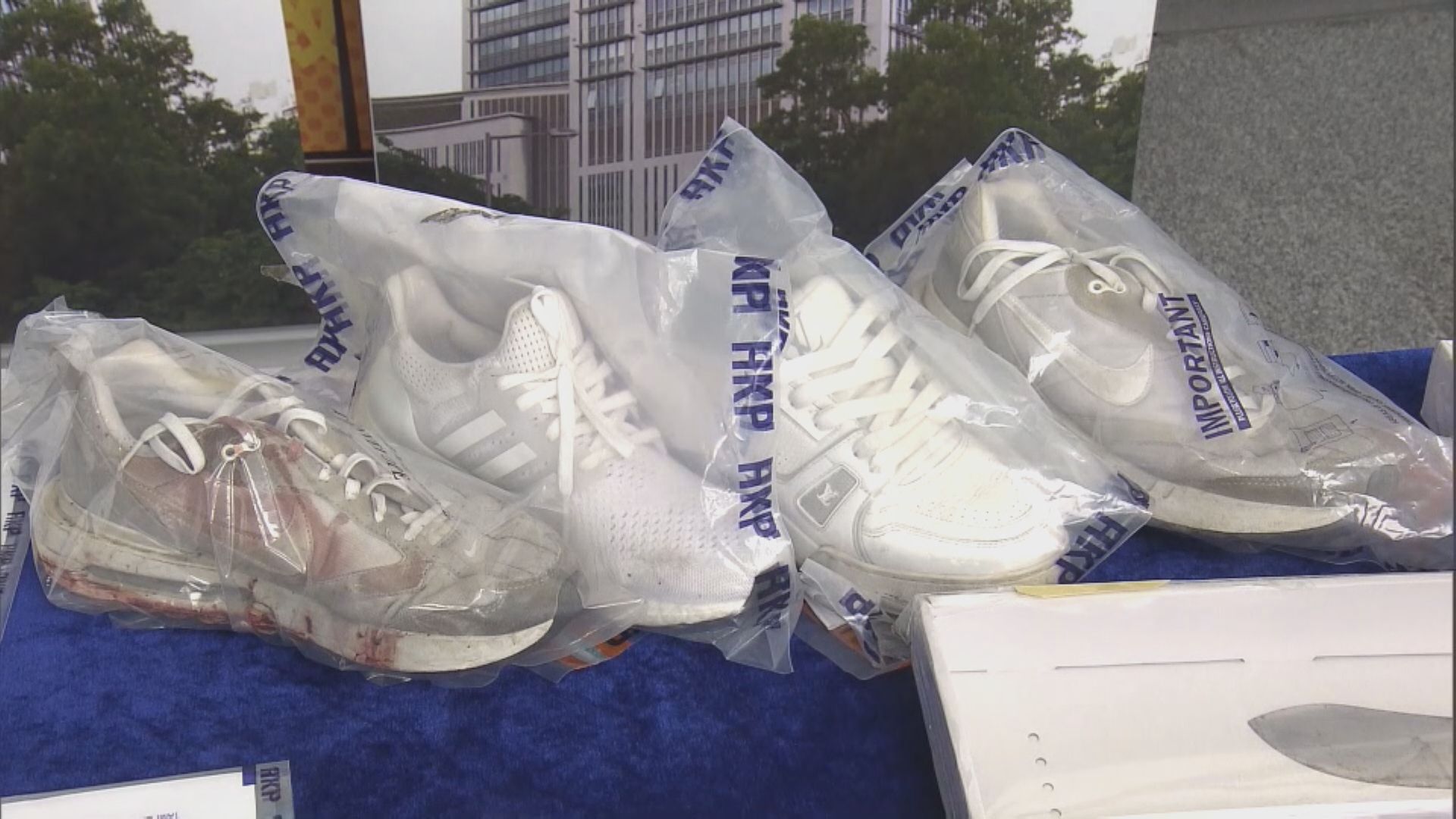 警拘14黑幫男　涉東涌聚眾毆鬥