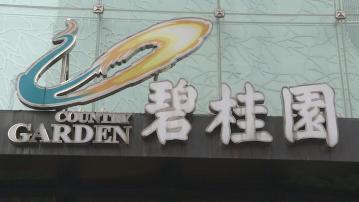 【內房危機】碧桂園清盤聆訊再延至「7‧29」