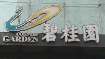 【內房危機】傳碧桂園調整架構 區域公司縮至21間