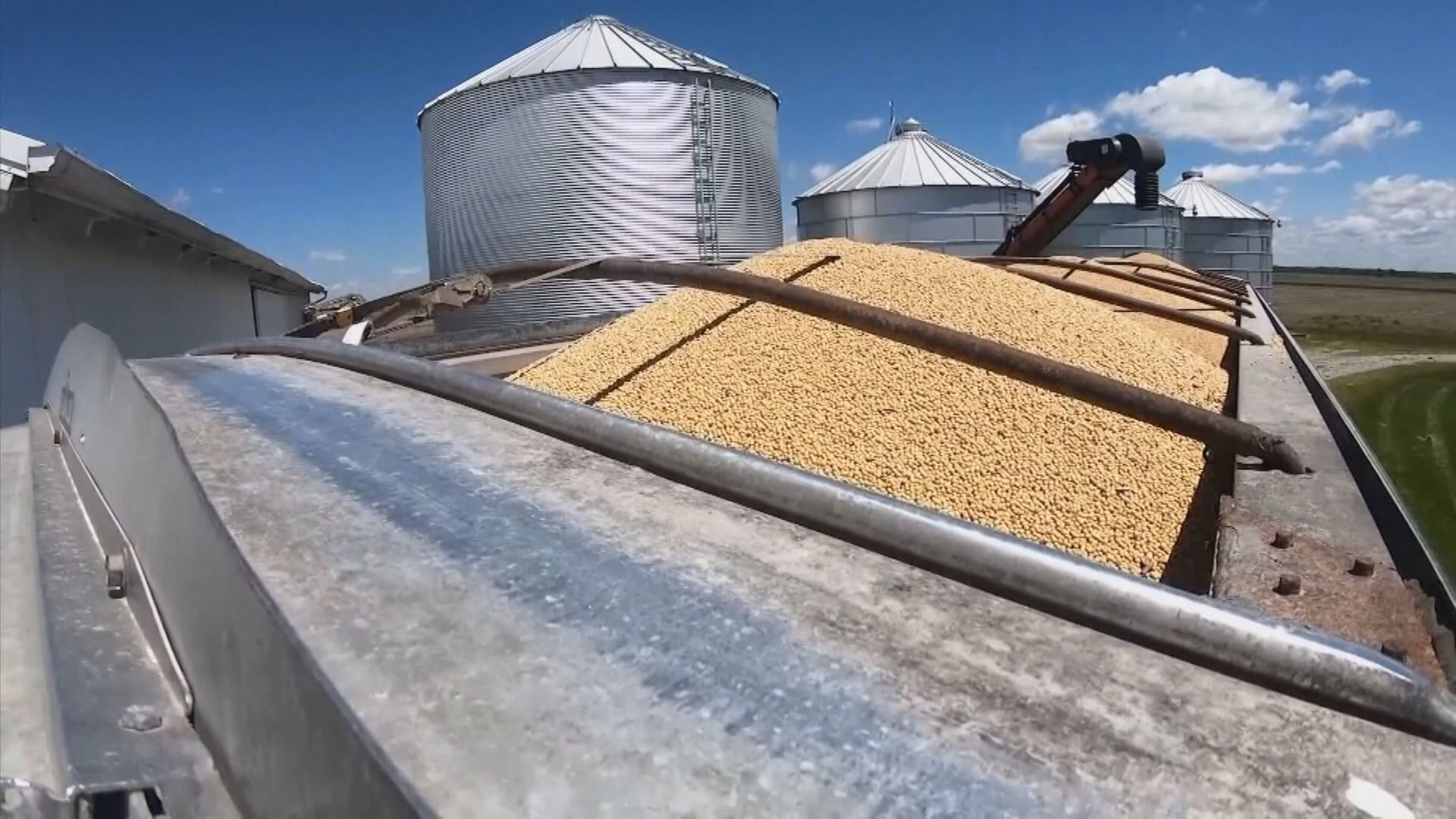 【中美協議】彭博:中國再向美國購買最少4批大豆