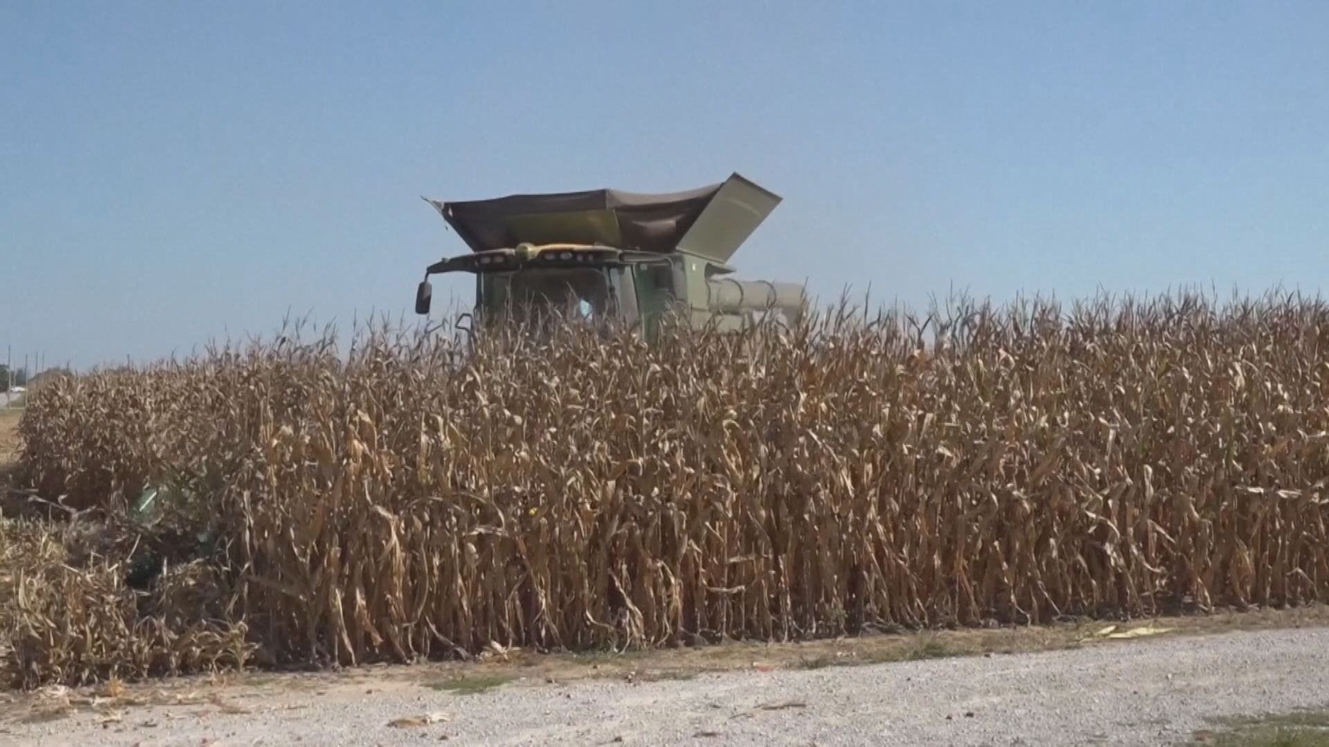 【「休戰」唔夠兩周】彭博:中國採購美國大豆陷停滯