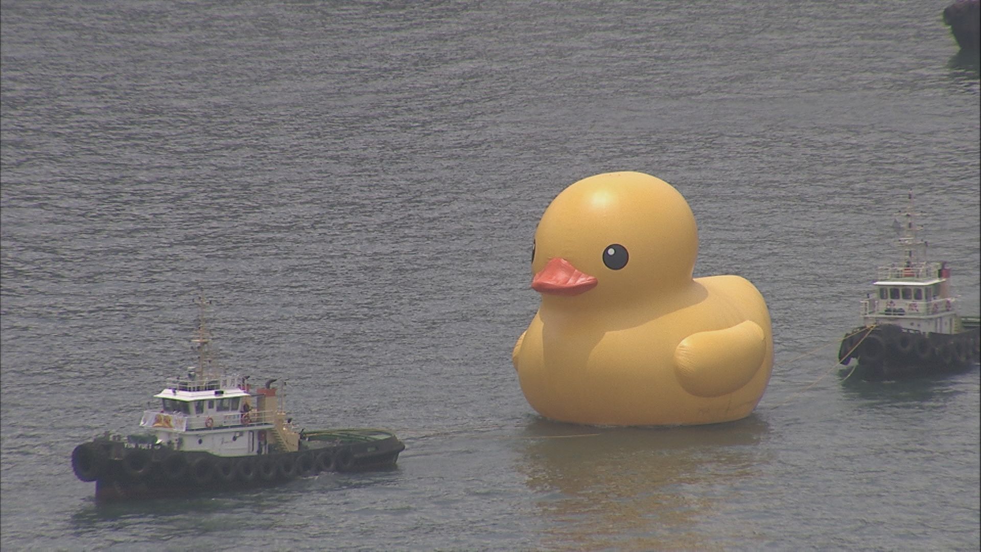 【闊別10年】黃鴨「回歸」今啟航會展「游早水」