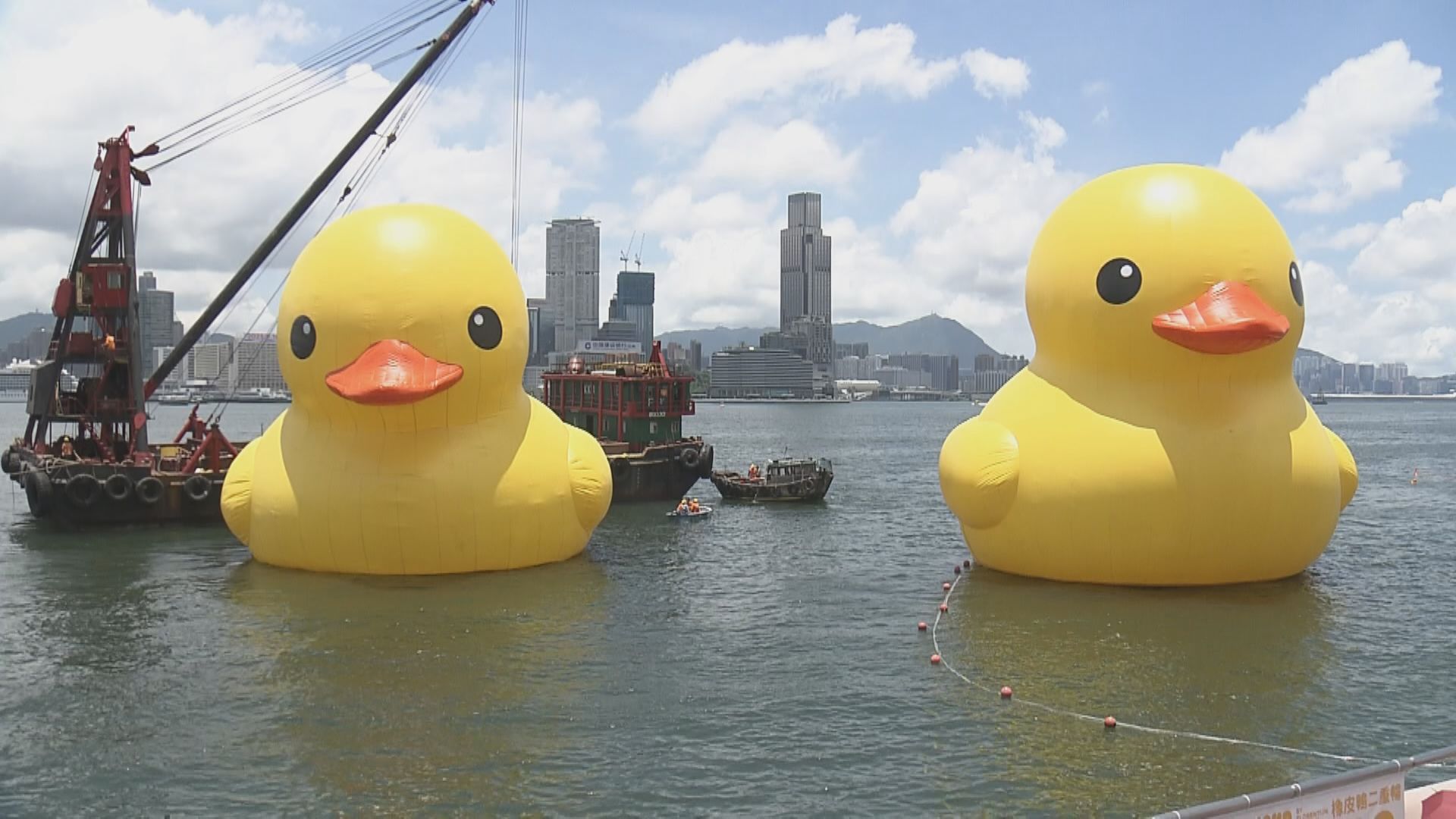 【返嚟喇！】「中暑」黃鴨返維港搵同伴 充完氣再同市民打卡