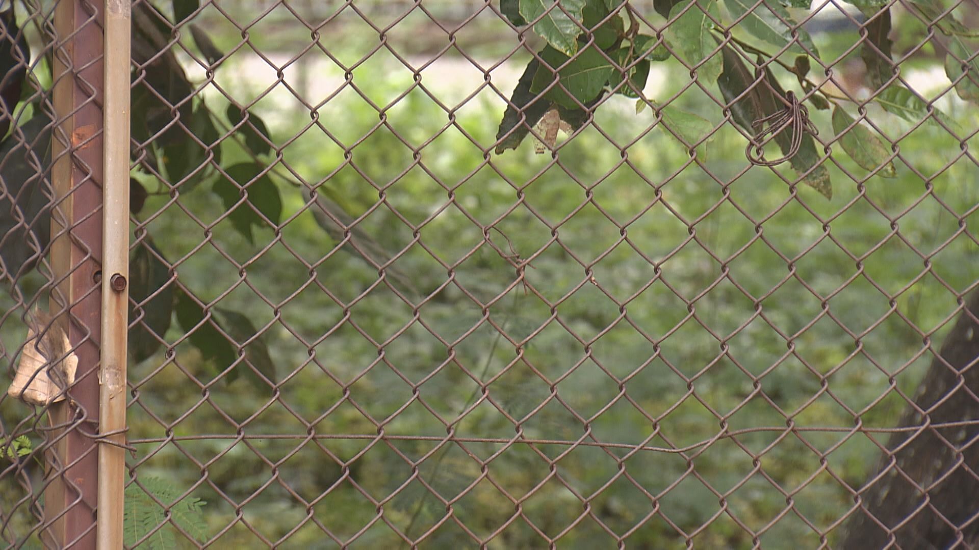 【邊際利潤高達30%】瑞銀:本地發展商投地意欲增