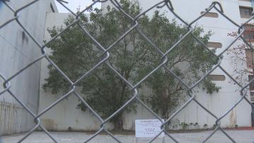 【賣地計劃】今季僅推沙田住宅地涉570伙 甯漢豪指「頭輕尾重」是正常