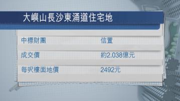 【一標「獨得」】信置2.03億奪大嶼山長沙地 每呎地價不足$2500