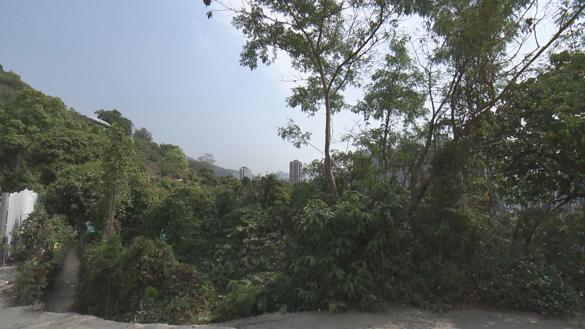 【港人首置項目】荃灣油柑頭住宅地下周五招標