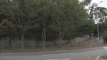 【有流標風險？】大嶼山長沙住宅地暫時僅信置入標